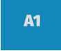 A1